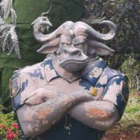 头像